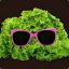 Mr.Salad
