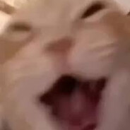 mikelsilbert - steam id 76561197962625052
