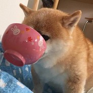 智慧女孩要秃头