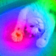 自律使你更优秀