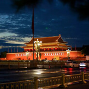 我一勺浓缩羊膏