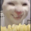 N0V3X|𝌆