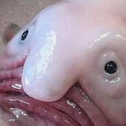 Grusni_Ribka