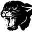 Bl4ck Panther