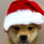 Dogzman9
