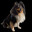 81918d8f328a743c83ba25ab951468990f38c9fc