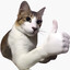 K4iser.IMPCSGOSKINS