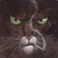 BLACKSAD