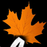 林中枫叶-VidesXinaYi