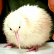 El kiwi