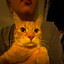 gnubbel gaming