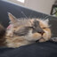 Eml0