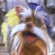 Sir Didymus - steam id 76561197960466803