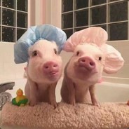 Sensible male college student