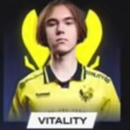 vitality——donk