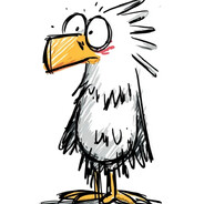 雄鹰晃晃大篮子