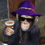 Pimp Chimp
