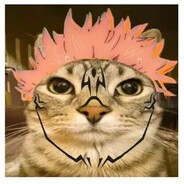Sukuna Cat