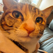 OhMyGodMyNameDoesntFi