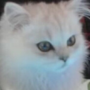 海绵宝宝皮克斯儿