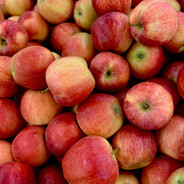 Apple annihilator