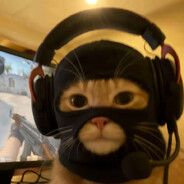 Retro - steam id 76561199432827472