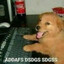 Dog with a keyboard