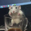 3zczurek