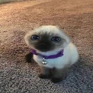 goop