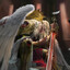 Sanguinius
