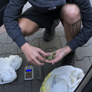 nOX - steam id 76561198815252293