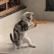 猫猫能有什么坏心思