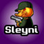 Sleyn1