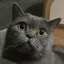 Mico