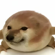 我的刀盾~