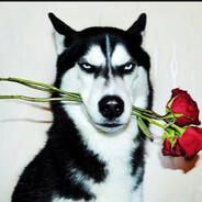 美式男孩爱上广岛学姐