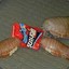 isopod