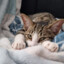 tiddles98