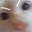Karu