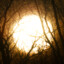 I AM THE SUN