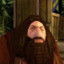 PS1 Hagrid