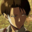 Levi