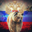 Капитан Оргазм