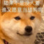 说好的幸褔呢