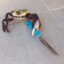 Mischevious Crab