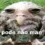 guilherme™