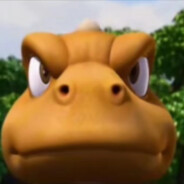 翻斗花园胡图图