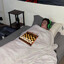 Orangutan Chess Boxing Master