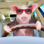 billy &quot;the driver&quot; pork