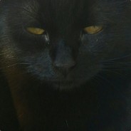 AndrewDeagle - steam id 76561198279373540